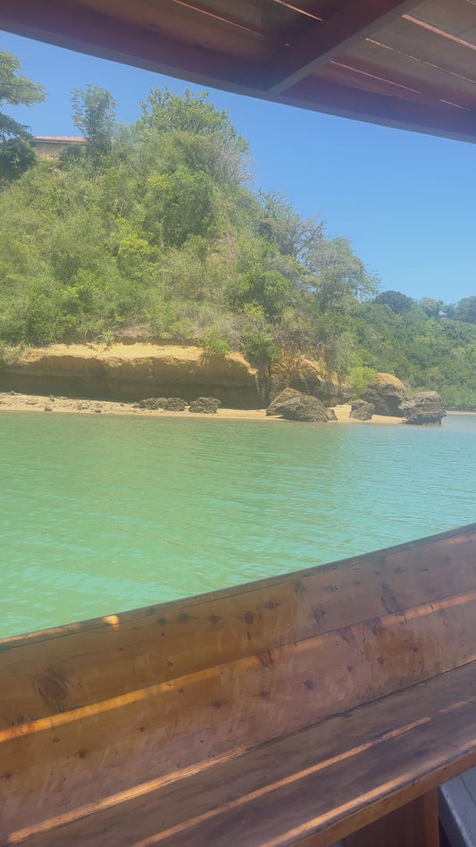 #1 Help!  I WANT TO LEAVE AMERICA